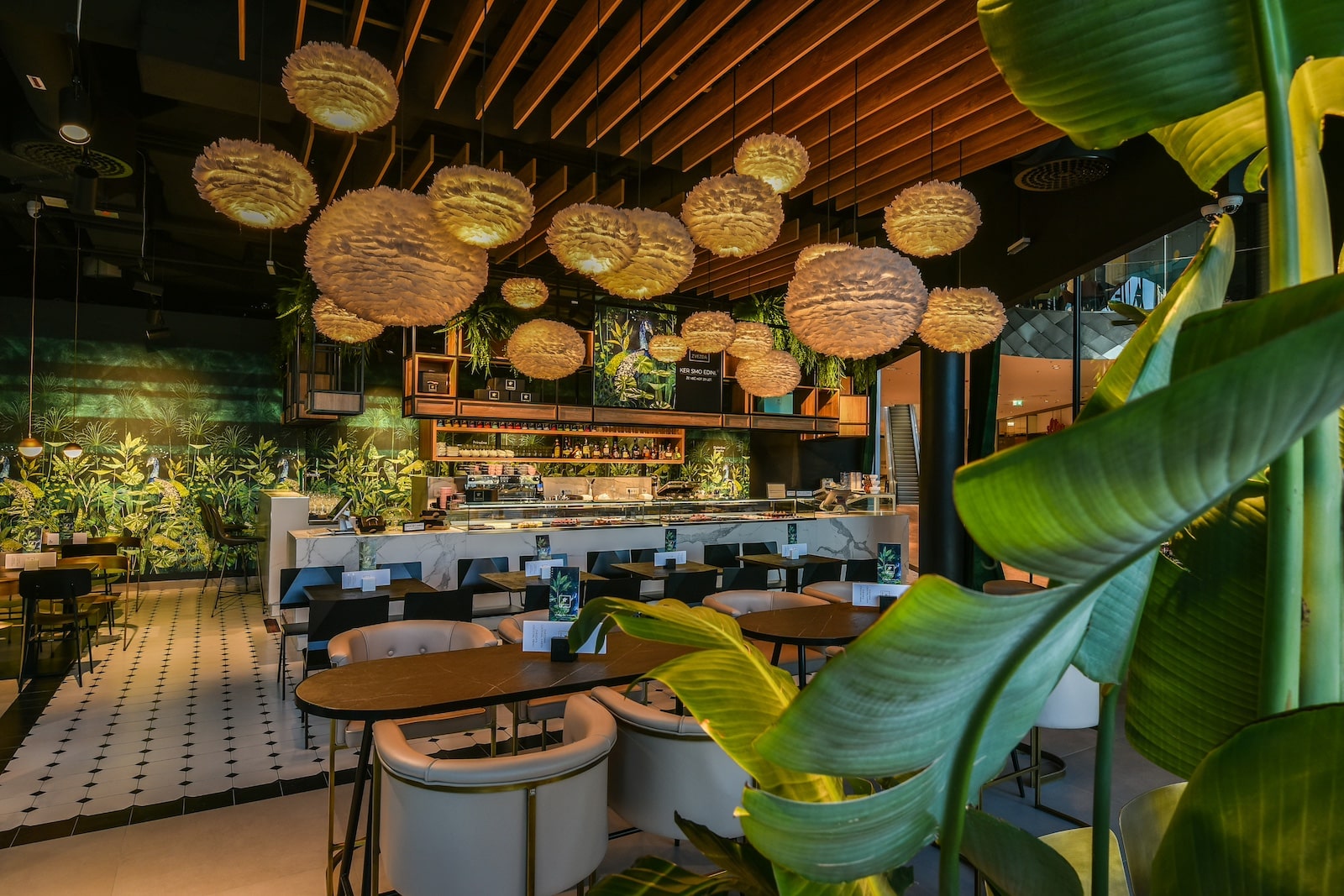 KDA kavarna zvezda aleja