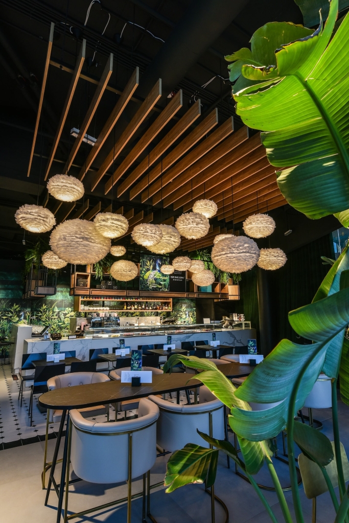 KDA kavarna zvezda aleja