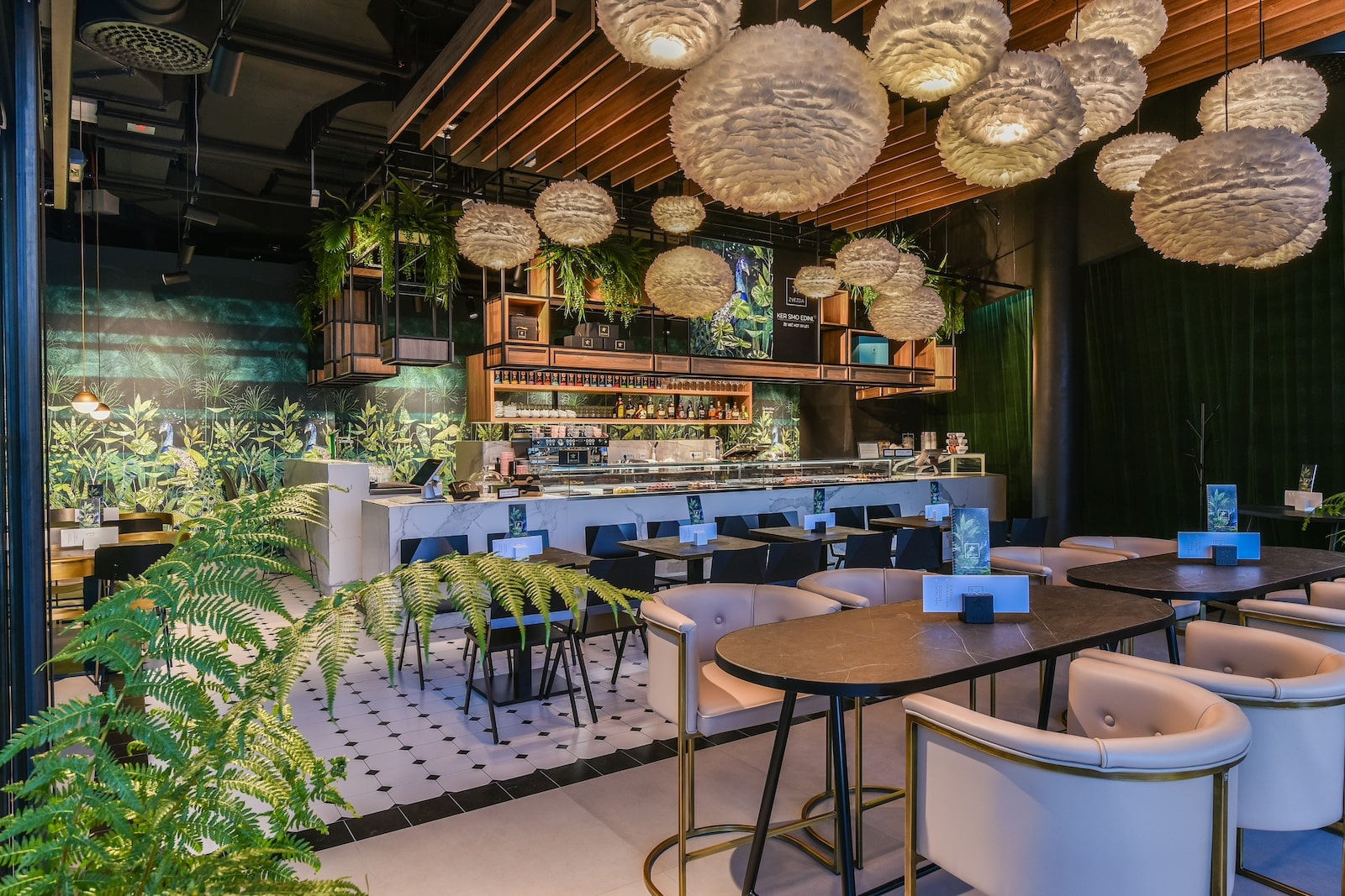 KDA kavarna zvezda aleja