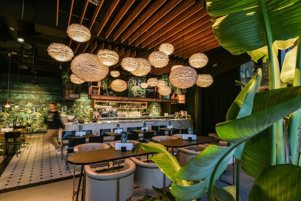 KDA kavarna zvezda aleja