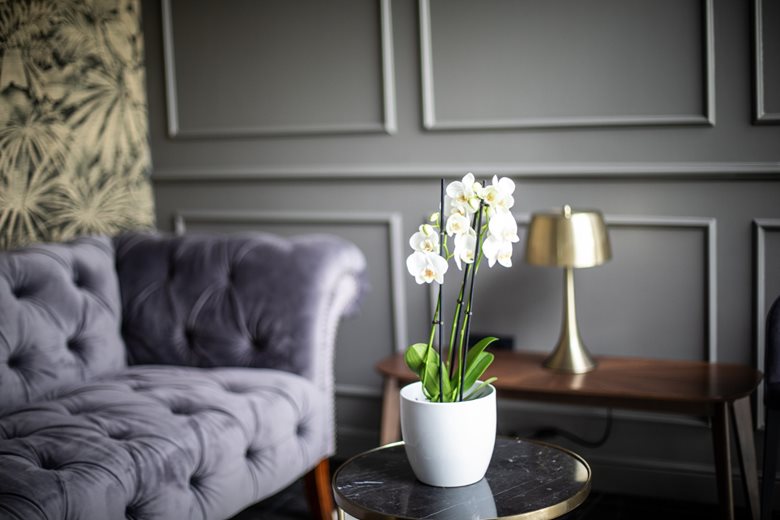 Dam-restaurant-hotel_KDA